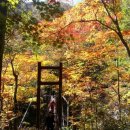 피아골 단풍공원 이미지