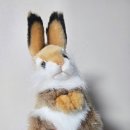 지에스25방촌해안점 | [방문후기]2026 태안세계튤립꽃박람회, 태안가볼만한곳