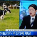 오피아