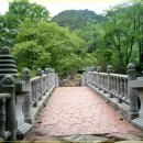정순농장 | 짝사랑의 결과는 항상 배반인가