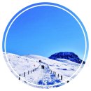 세림식품원료