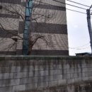 에버그린호텔뷔페
