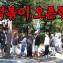 중계다리떡볶이
