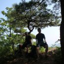 달콤한 휴식 이미지