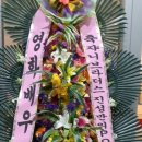 봉봉브라더스 이미지