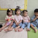 강&별 Daum카페