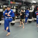 킥복싱 무에타이 복싱 MMA 국제체육관 효성점 이미지