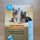 플러스하트 이미지