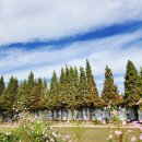 당거리화장실 이미지