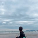 서핑쿠스 이미지