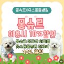 포레동물병원 - 성동구 성수일로 33 | 익산 고양이 건강검진 어디서 받을까? 유스동물병원 다녀왔어요 | 내돈내산 후기