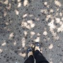 시온산장 이미지