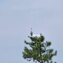 오천읍 해와달 | 포항 산책하기 좋은 곳 일월문화공원 도구해수욕장