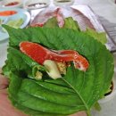 제일송어산장 이미지