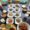 자연과 건강(산야초 이야기) | 세종맛집에서 정갈한 백반정식으로 든든하게 한 끼한 후기