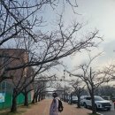 군산월명종합경기장테니스장 이미지