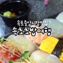 속초초밥여행