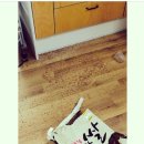 연무농협잡곡사업소 | 쌀 보관방법 : 연무농협 삼광쌀로 맛있는 밥먹어요♡