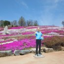 생초 국제 조각공원 꽃잔디 축제 ( 경남, 산청 ) 이미지