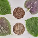 안녕약국 이미지