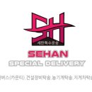 전남카모터스