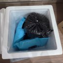 해풍 | [여수 지인 강력 추천]해풍게장 택배 주문 후기