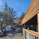 전원펜션 | 경주캠핑장 가을 감성 제대로 느끼고 온 전원일기펜션오토캠핑장 후기