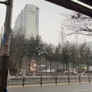 피자스쿨(의정부민락점) | 210111-210117