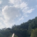 명지산카라반오토캠핑장 이미지