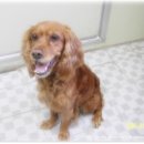 코코목욕 이미지