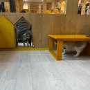 고양이카페 아이캣유 | 전주 신시가지 아이와 동반 가능한 고양이 카페 “아이캣유” 솔직 후기/ 가격, 분위기