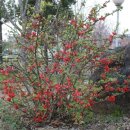 은대리 쉼나루 이미지