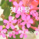 첫사랑(피아노 연주) 이미지