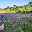 압해공인중개사사무소 이미지