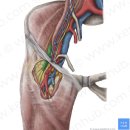 라온제나 클리니컬 운동센터 | 청담pt 한쪽 발이 더 차갑거나, 한쪽 종아리만 더 두꺼울 때 어떻게 해야 할까요?
