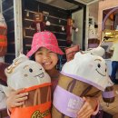 초콜릿월드 이미지