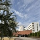 플레이골프 | [가고시마 골프] 사츠마 CC 라운드 후기: 여유로운 플레이와 온천의 힐링