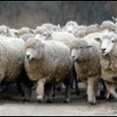 상진목장 이미지