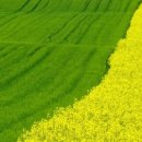 초록 태양광발전소 이미지