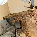 대동다숲 | 진해 장천대동다숲 사각 싱크볼 교체 후기｜누수 흔적까지 깔끔하게 정리한 김실장의 현장 이야기