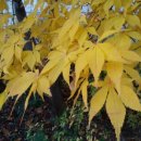 아이보따리 이미지