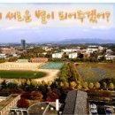 CW-0248-01 이미지