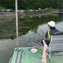 백학낚시터 이미지