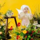(주)레루 | 의정부사진관 시도레스튜디오 가든컨셉 토끼 아기사진 촬영 후기