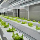 광형농장 이미지