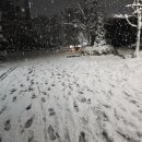 신통방통한의원 이미지