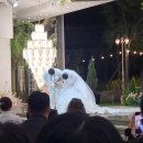 (주)현석 | 실장님 결혼식, 손가락 고장난 사람