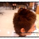 웨스턴 소프트 이미지