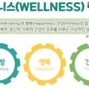 wellness 티스토리
