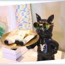 아름다운 노래연습장 이미지